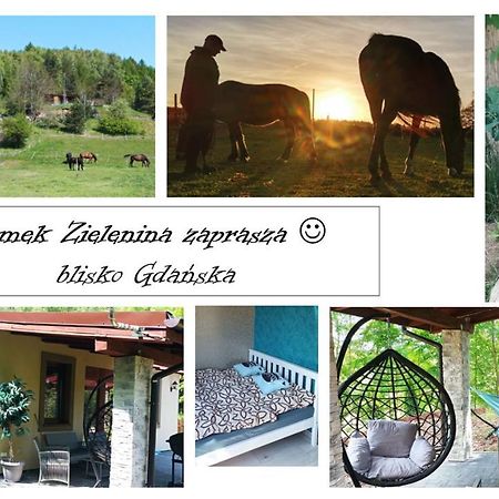 Domek Zielenina Villa Mierzeszyn Eksteriør bilde