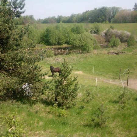 Domek Zielenina Villa Mierzeszyn Eksteriør bilde