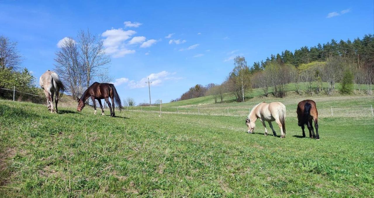 Domek Zielenina Villa Mierzeszyn Eksteriør bilde