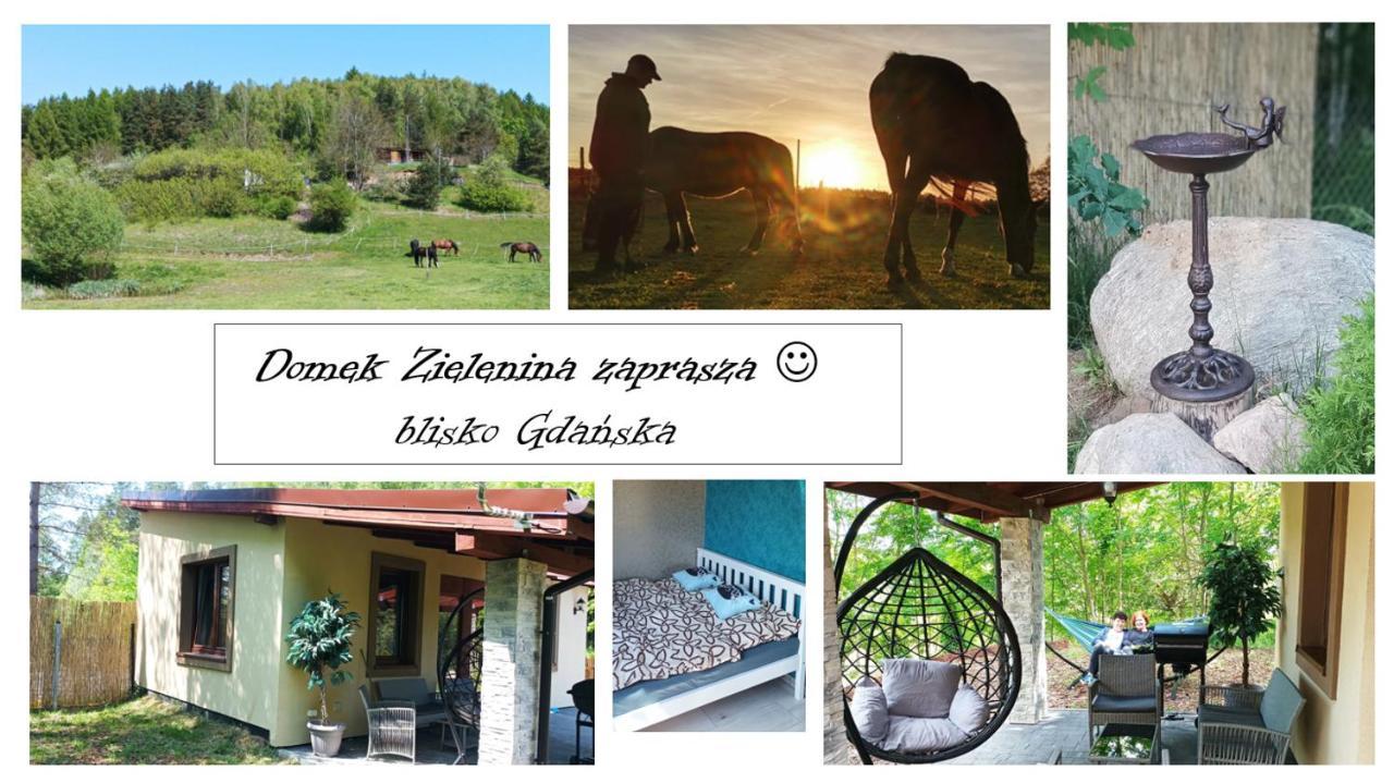 Domek Zielenina Villa Mierzeszyn Eksteriør bilde