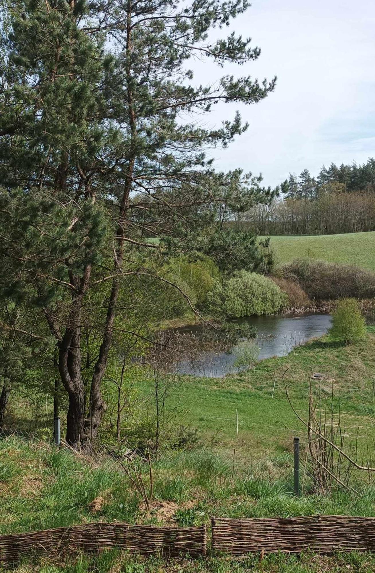 Domek Zielenina Villa Mierzeszyn Eksteriør bilde