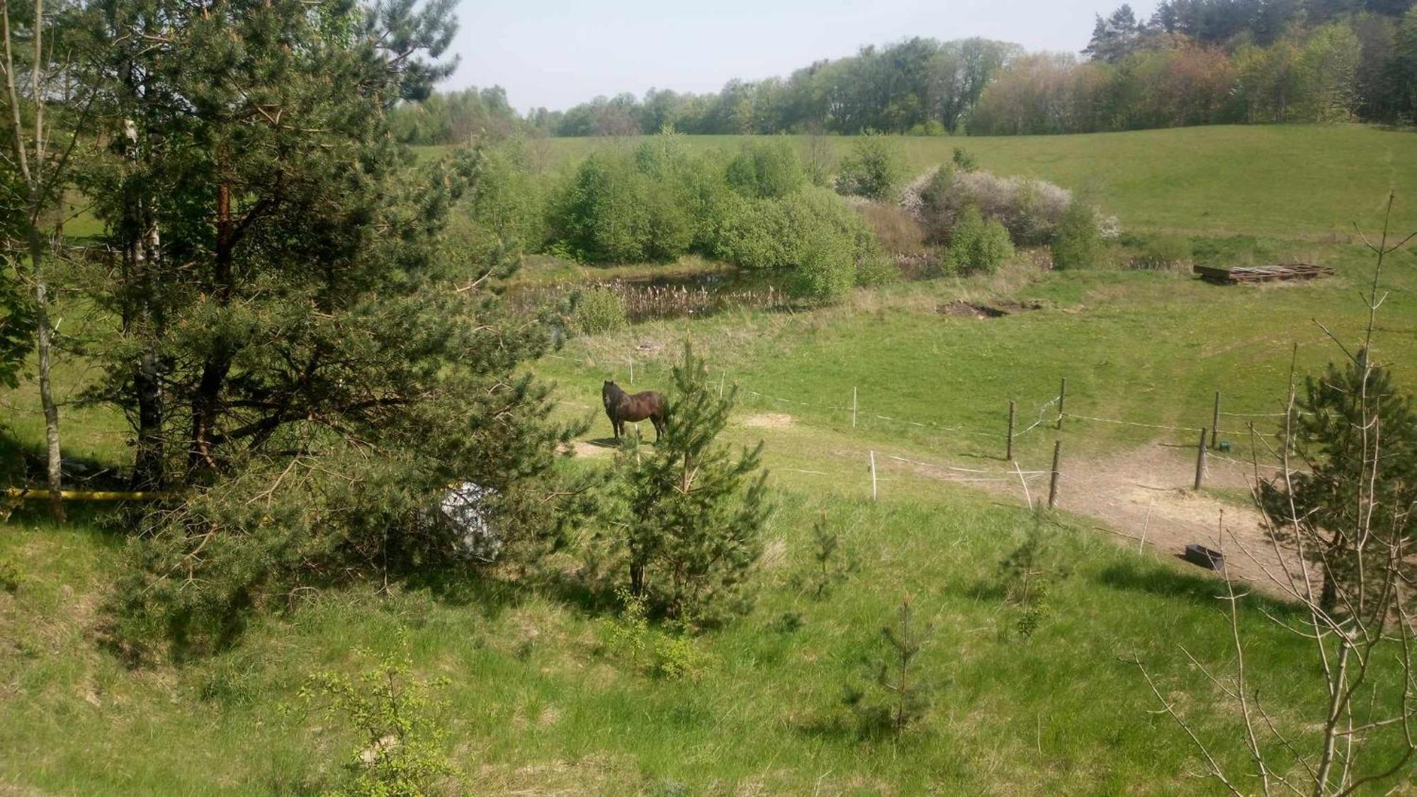 Domek Zielenina Villa Mierzeszyn Eksteriør bilde